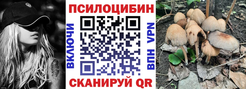 omg ТОР  Отрадное  Галлюциногенные грибы мухоморы 