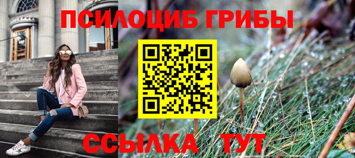 Галлюциногенные грибы мицелий Отрадное